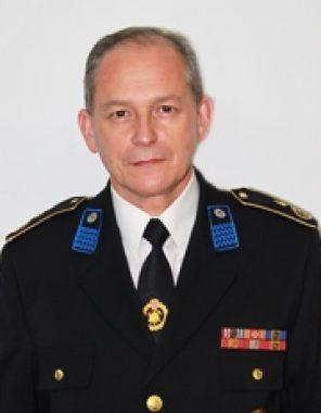 Despot darko